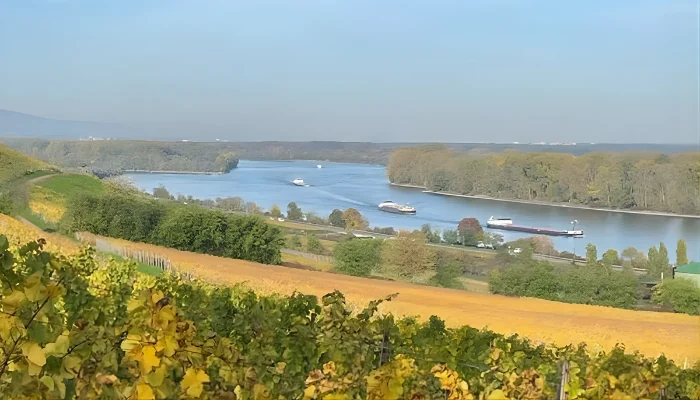 Rhein Landschaft - Weingut Friedrichshof