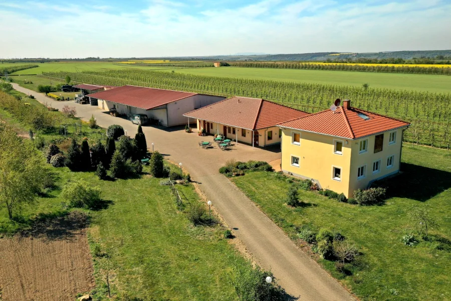 Das Weingut Menk