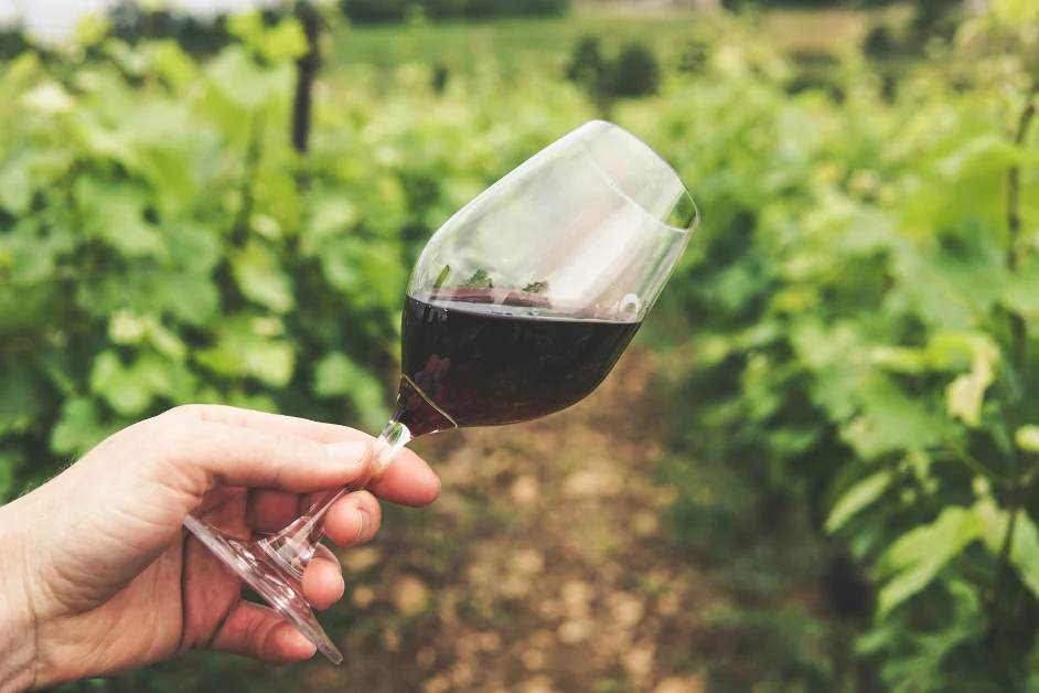 Deutscher Rotwein und die Tannine