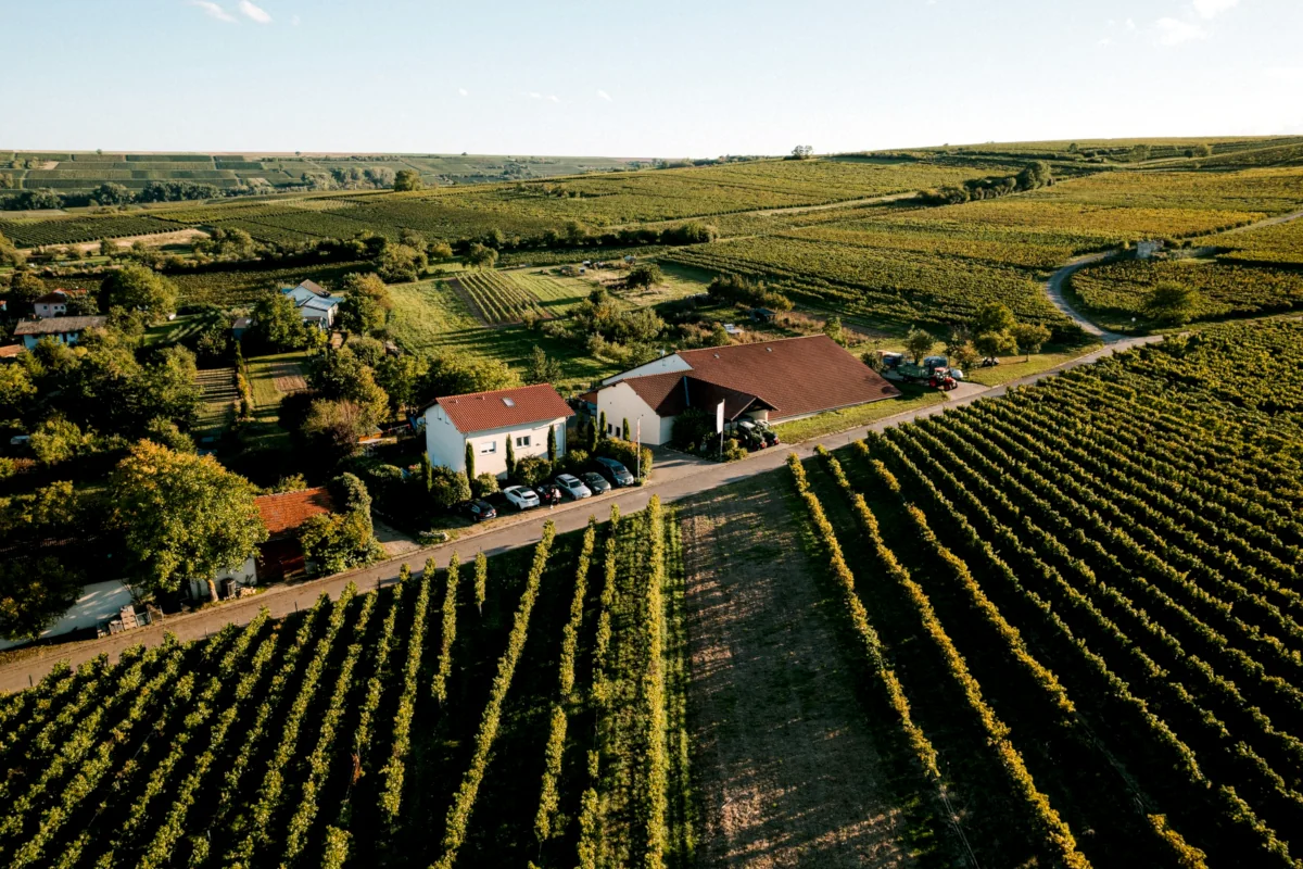 Blick aus der Luft auf das Weingut Finkenauer & Franz