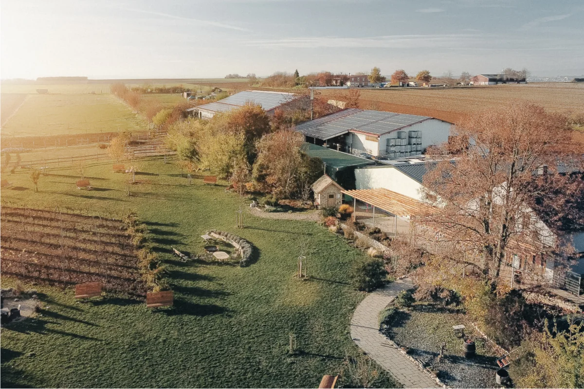 Das Weingut Eva Vollmer