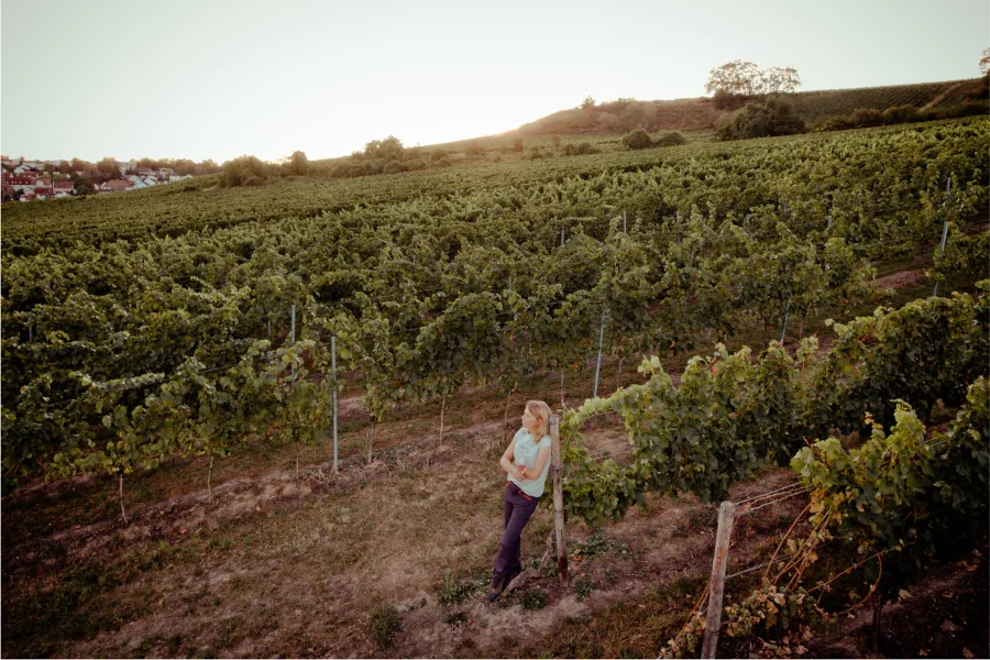Eva Vollmer am Weinberg