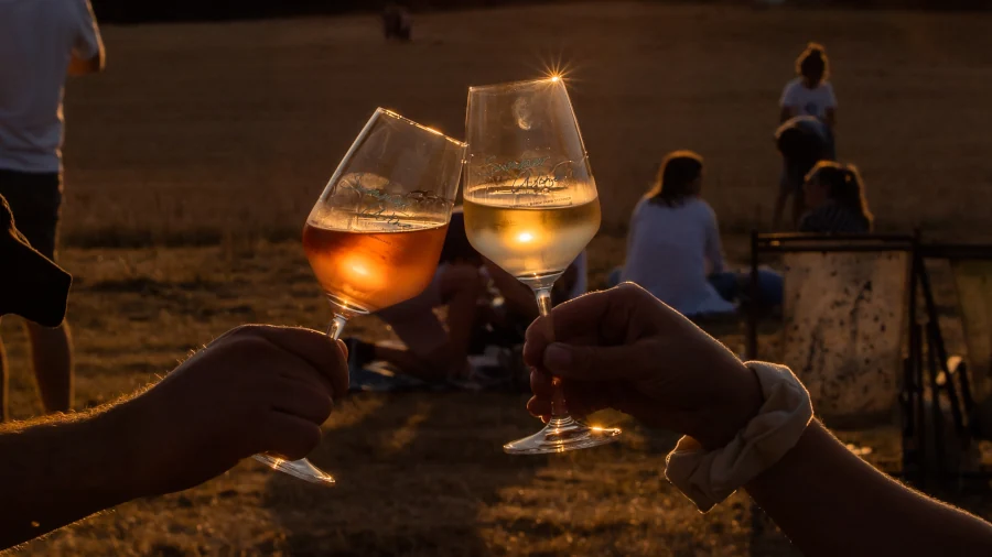 Summer Wine - Weingut Stenner