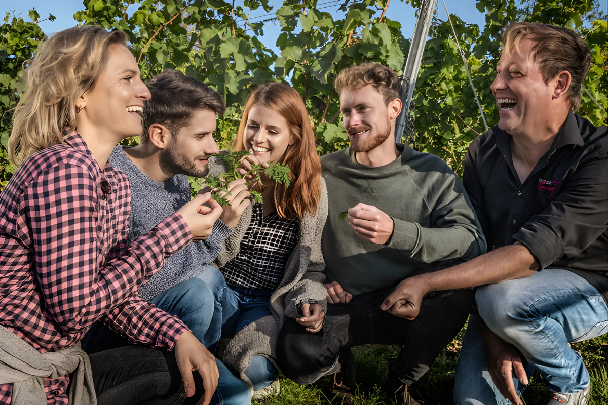 Weingut Klosterhof