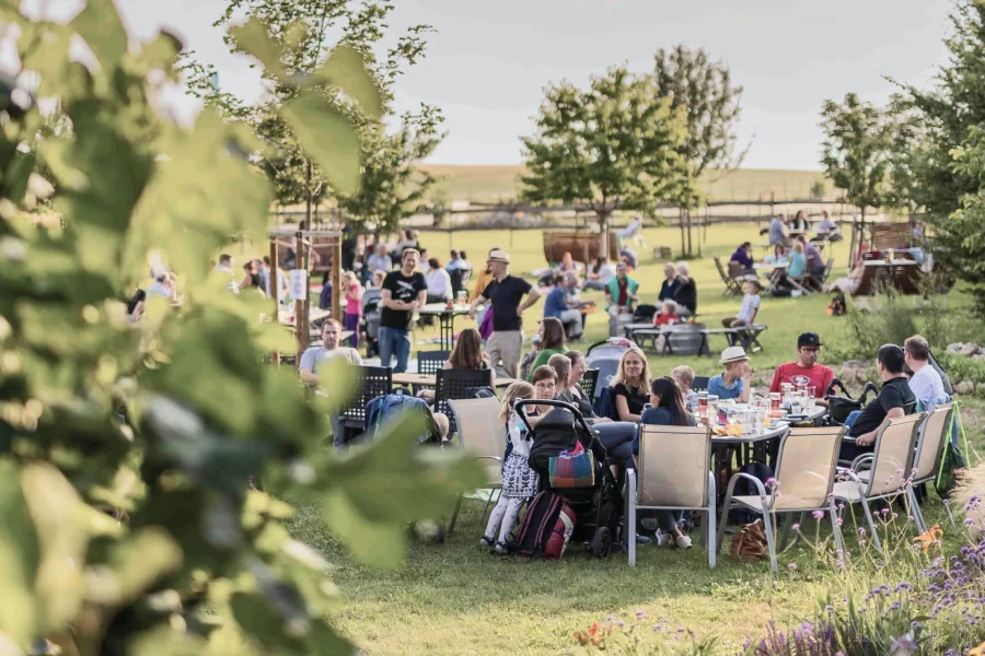 Weinwiese - Weingut Eva Vollmer