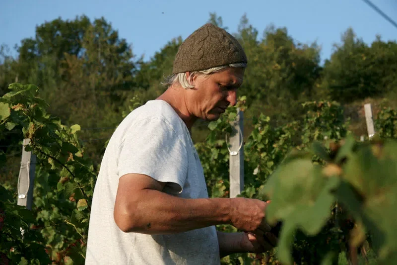 Andi im Weinberg - Weingut 5