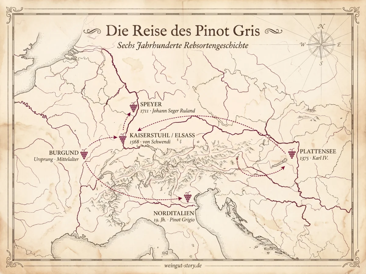Die Wanderroute des Pinot Gris