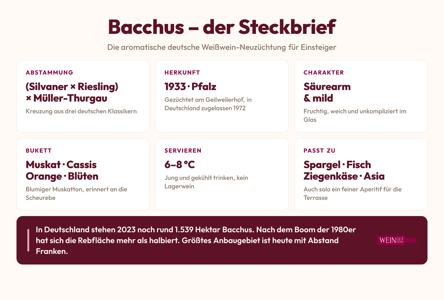 Infografik Bacchus-Steckbrief: Abstammung, Herkunft 1933 Pfalz, säurearmer Charakter, Bukett aus Muskat und Cassis, Serviertemperatur 6 bis 8 Grad und passende Speisen