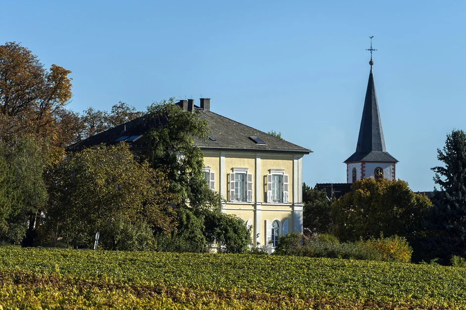 Das klassizistische Gutshaus des Domdechant Werner'schen Weinguts in den Weinbergen von Hochheim am Main