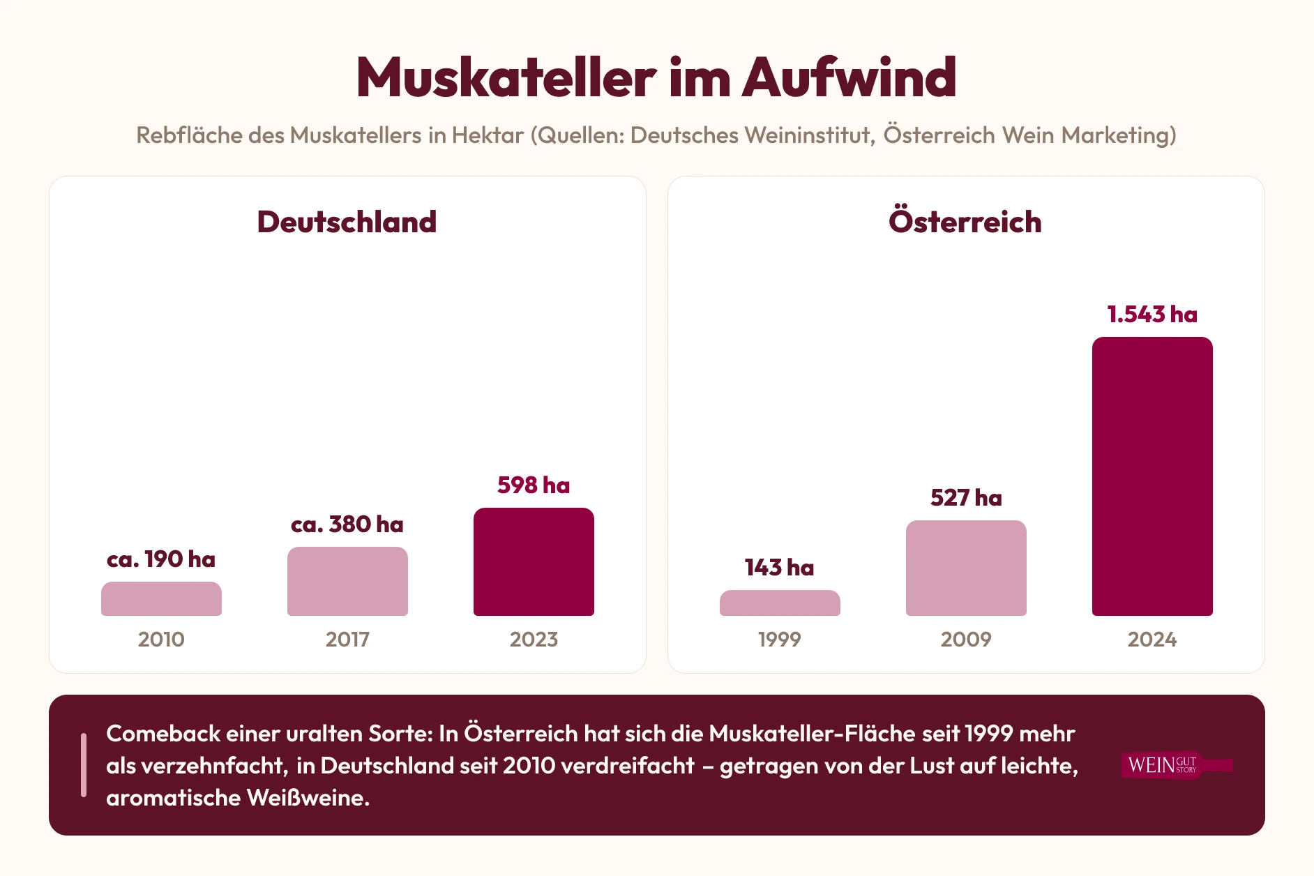Infografik: Muskateller im Aufwind – Entwicklung der Rebfläche in Deutschland und Österreich seit 1999