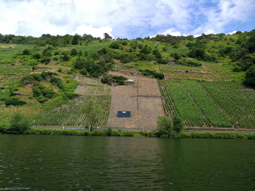 Steillagen-Weinberge an der Mosel beim Weingut Immich-Anker