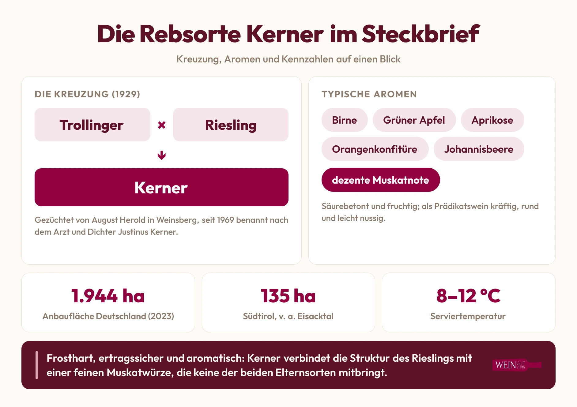Infografik: Die Rebsorte Kerner im Steckbrief mit Kreuzung aus Trollinger und Riesling, typischen Aromen und Kennzahlen