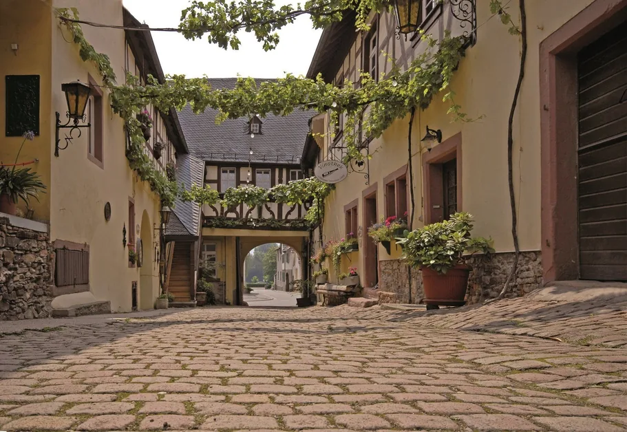 Historischer Zehntenhof des Weinguts Johannes Ohlig in Oestrich-Winkel
