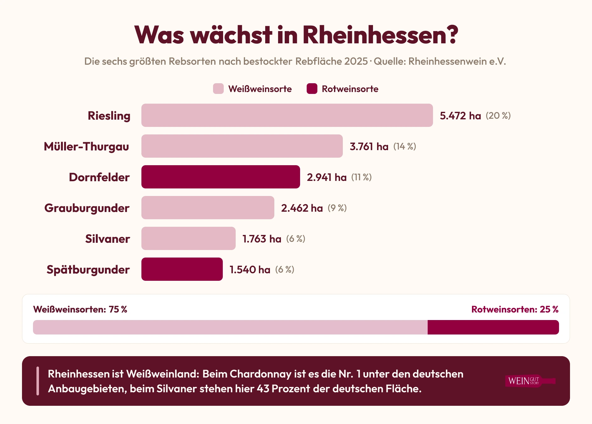 Infografik: Rebsortenspiegel Rheinhessen 2025 mit Riesling an der Spitze vor Müller-Thurgau und Dornfelder