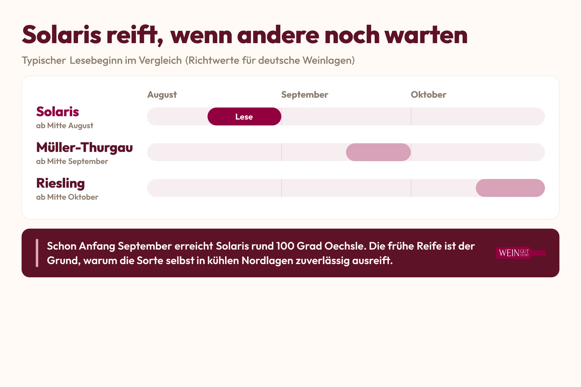 Reifekalender: Solaris reift ab Mitte August und damit deutlich früher als Müller-Thurgau und Riesling
